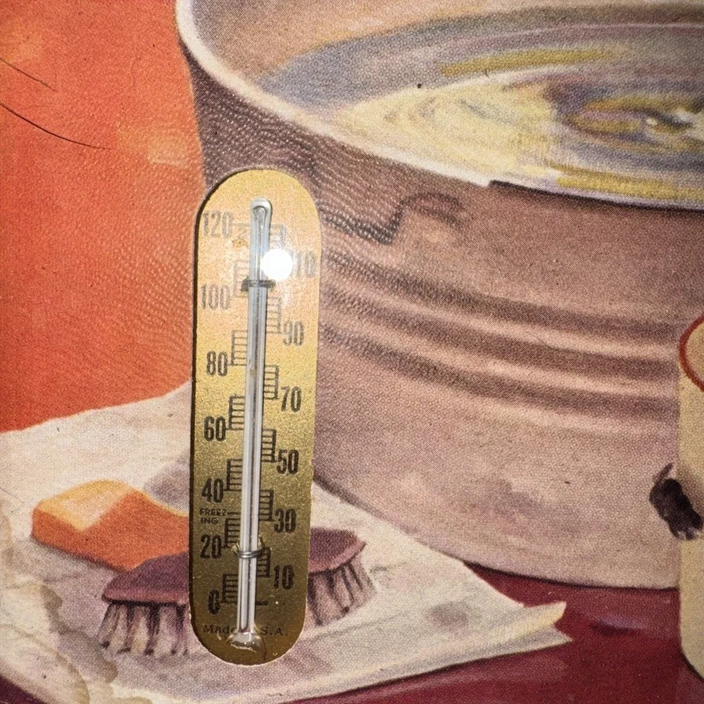 Vintage You First Boy Dog Print Thermometer Roy Baker Valley Falls KS Frame